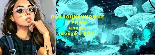 apvp Красноперекопск
