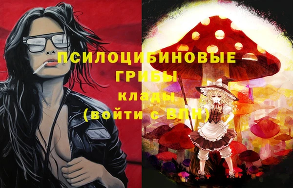 apvp Красноперекопск