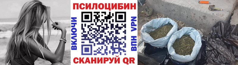 Псилоцибиновые грибы MAGIC MUSHROOMS  купить наркотик  Нефтекамск 