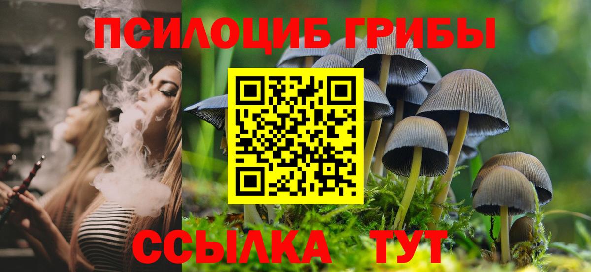 Нефтекамск  Галлюциногенные грибы Psilocybe  Вход с VPN 
