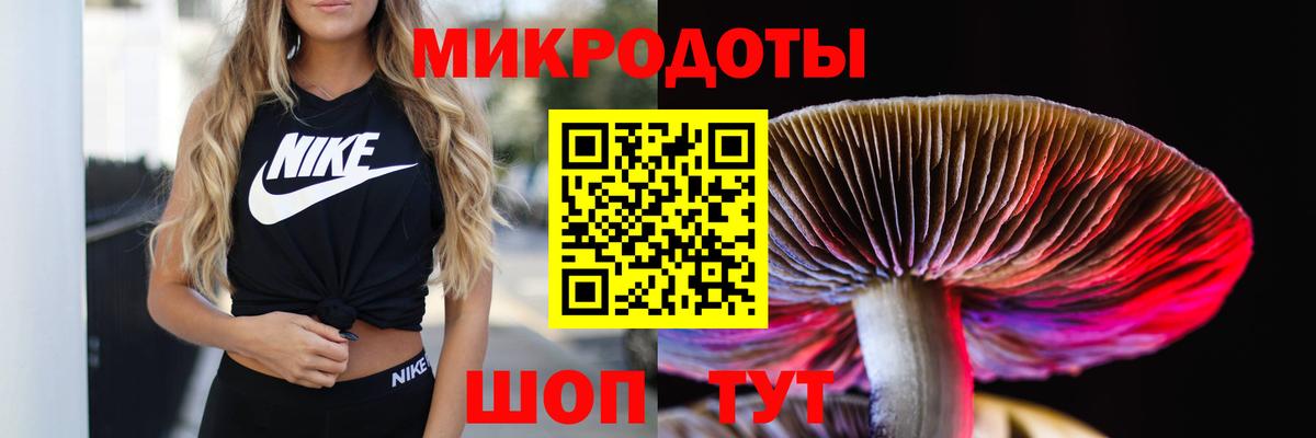 Псилоцибиновые грибы Psilocybe Нефтекамск